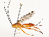  ( - CBG-B13795-C04)  @11 [ ] CreativeCommons - Attribution Share - Alike (2025) CBG Photography Group Centre for Biodiversity Genomics