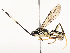  ( - CBG-B13795-D04)  @11 [ ] CreativeCommons - Attribution Share - Alike (2025) CBG Photography Group Centre for Biodiversity Genomics