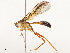  ( - CBG-B13801-D02)  @11 [ ] CreativeCommons - Attribution Share - Alike (2025) CBG Photography Group Centre for Biodiversity Genomics