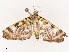  ( - CBG-B13805-A05)  @11 [ ] CreativeCommons - Attribution Share - Alike (2025) CBG Photography Group Centre for Biodiversity Genomics