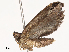  ( - CBG-B13805-A08)  @11 [ ] CreativeCommons - Attribution Share - Alike (2025) CBG Photography Group Centre for Biodiversity Genomics
