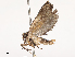  ( - CBG-B13805-A09)  @11 [ ] CreativeCommons - Attribution Share - Alike (2025) CBG Photography Group Centre for Biodiversity Genomics