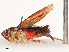  ( - CBG-B14221-H11)  @11 [ ] CreativeCommons - Attribution Share - Alike (2025) CBG Photography Group Centre for Biodiversity Genomics