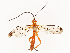  ( - CBG-B14226-E12)  @11 [ ] CreativeCommons - Attribution Share - Alike (2025) CBG Photography Group Centre for Biodiversity Genomics