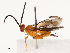  ( - CBG-B14649-C01)  @11 [ ] CreativeCommons - Attribution Share - Alike (2025) CBG Photography Group Centre for Biodiversity Genomics