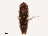  ( - CBG-B14649-F11)  @11 [ ] CreativeCommons - Attribution Share - Alike (2025) CBG Photography Group Centre for Biodiversity Genomics