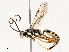  ( - CBG-B18758-G02)  @11 [ ] CreativeCommons - Attribution Share - Alike (2025) CBG Photography Group Centre for Biodiversity Genomics
