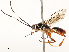  ( - CBG-B17179-F10)  @11 [ ] CreativeCommons - Attribution Share - Alike (2025) CBG Photography Group Centre for Biodiversity Genomics