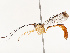  ( - CBG-B13792-G05)  @11 [ ] CreativeCommons - Attribution Share - Alike (2025) CBG Photography Group Centre for Biodiversity Genomics