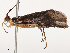 ( - CBG-B13793-A11)  @11 [ ] CreativeCommons - Attribution Share - Alike (2025) CBG Photography Group Centre for Biodiversity Genomics