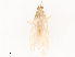  ( - CBG-B14789-E03)  @11 [ ] CreativeCommons - Attribution Share - Alike (2025) CBG Photography Group Centre for Biodiversity Genomics