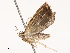  ( - CBG-B14792-E05)  @11 [ ] CreativeCommons - Attribution Share - Alike (2025) CBG Photography Group Centre for Biodiversity Genomics