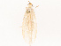 ( - CBG-B14792-F04)  @11 [ ] CreativeCommons - Attribution Share - Alike (2025) CBG Photography Group Centre for Biodiversity Genomics