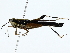  ( - BIOUG77732-G05)  @11 [ ] CreativeCommons - Attribution (2022) CBG Photography Group Centre for Biodiversity Genomics