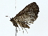  ( - BIOUG80723-B10)  @11 [ ] CreativeCommons - Attribution (2022) CBG Photography Group Centre for Biodiversity Genomics