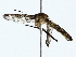  ( - BIOUG80723-E11)  @11 [ ] CreativeCommons - Attribution (2022) CBG Photography Group Centre for Biodiversity Genomics