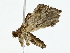  ( - BIOUG80723-H06)  @11 [ ] CreativeCommons - Attribution (2022) CBG Photography Group Centre for Biodiversity Genomics