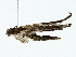  ( - BIOUG80723-H07)  @11 [ ] CreativeCommons - Attribution (2022) CBG Photography Group Centre for Biodiversity Genomics