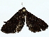  ( - BIOUG80724-A05)  @11 [ ] CreativeCommons - Attribution (2022) CBG Photography Group Centre for Biodiversity Genomics
