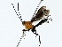  ( - BIOUG80724-D12)  @11 [ ] CreativeCommons - Attribution (2022) CBG Photography Group Centre for Biodiversity Genomics