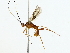  ( - BIOUG80724-G02)  @11 [ ] CreativeCommons - Attribution (2022) CBG Photography Group Centre for Biodiversity Genomics