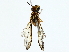  ( - BIOUG85279-F04)  @11 [ ] CreativeCommons - Attribution (2022) CBG Photography Group Centre for Biodiversity Genomics