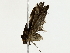  ( - BIOUG85279-H02)  @11 [ ] CreativeCommons - Attribution (2022) CBG Photography Group Centre for Biodiversity Genomics