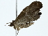  ( - BIOUG85456-B08)  @11 [ ] CreativeCommons - Attribution (2022) CBG Photography Group Centre for Biodiversity Genomics