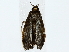  ( - BIOUG85456-G07)  @11 [ ] CreativeCommons - Attribution (2022) CBG Photography Group Centre for Biodiversity Genomics