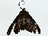  ( - BIOUG85457-F05)  @11 [ ] CreativeCommons - Attribution (2022) CBG Photography Group Centre for Biodiversity Genomics