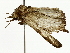  ( - BIOUG85458-A02)  @11 [ ] CreativeCommons - Attribution (2022) CBG Photography Group Centre for Biodiversity Genomics