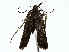  ( - BIOUG85458-A08)  @11 [ ] CreativeCommons - Attribution (2022) CBG Photography Group Centre for Biodiversity Genomics