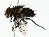  ( - BIOUG85458-C03)  @11 [ ] CreativeCommons - Attribution (2022) CBG Photography Group Centre for Biodiversity Genomics