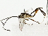  ( - BIOUG85458-D02)  @11 [ ] CreativeCommons - Attribution (2022) CBG Photography Group Centre for Biodiversity Genomics