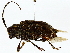  ( - BIOUG85458-G06)  @11 [ ] CreativeCommons - Attribution (2022) CBG Photography Group Centre for Biodiversity Genomics