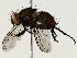  ( - BIOUG89941-F01)  @11 [ ] CreativeCommons - Attribution (2022) CBG Photography Group Centre for Biodiversity Genomics