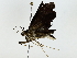  ( - BIOUG89941-G03)  @11 [ ] CreativeCommons - Attribution (2022) CBG Photography Group Centre for Biodiversity Genomics