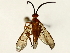  ( - BIOUG89941-H01)  @11 [ ] CreativeCommons - Attribution (2022) CBG Photography Group Centre for Biodiversity Genomics