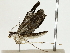  ( - BIOUG89941-H04)  @11 [ ] CreativeCommons - Attribution (2022) CBG Photography Group Centre for Biodiversity Genomics