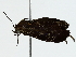  ( - BIOUG89942-F02)  @11 [ ] CreativeCommons - Attribution (2022) CBG Photography Group Centre for Biodiversity Genomics