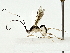  ( - BIOUG89943-A01)  @11 [ ] CreativeCommons - Attribution (2022) CBG Photography Group Centre for Biodiversity Genomics