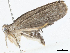  ( - CBG-A04594-C02)  @11 [ ] CreativeCommons - Attribution (2023) CBG Photography Group Centre for Biodiversity Genomics
