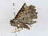  ( - CBG-A04448-C06)  @11 [ ] CreativeCommons - Attribution (2023) CBG Photography Group Centre for Biodiversity Genomics