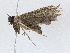  ( - CBG-A04448-C09)  @11 [ ] CreativeCommons - Attribution (2023) CBG Photography Group Centre for Biodiversity Genomics
