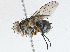  ( - CBG-A04448-G03)  @11 [ ] CreativeCommons - Attribution (2023) CBG Photography Group Centre for Biodiversity Genomics