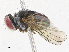  ( - CBG-A04449-A03)  @11 [ ] CreativeCommons - Attribution (2023) CBG Photography Group Centre for Biodiversity Genomics