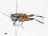  ( - CBG-A04449-C07)  @11 [ ] CreativeCommons - Attribution (2023) CBG Photography Group Centre for Biodiversity Genomics