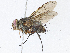  ( - CBG-A04449-D11)  @11 [ ] CreativeCommons - Attribution (2023) CBG Photography Group Centre for Biodiversity Genomics