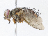  ( - CBG-A04449-D12)  @11 [ ] CreativeCommons - Attribution (2023) CBG Photography Group Centre for Biodiversity Genomics