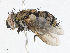  ( - CBG-A04449-E01)  @11 [ ] CreativeCommons - Attribution (2023) CBG Photography Group Centre for Biodiversity Genomics